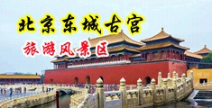 插鸡巴操死我的视频网站中国北京-东城古宫旅游风景区